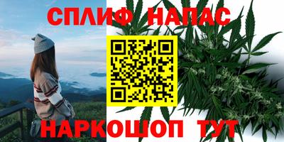 гидра Кунгур