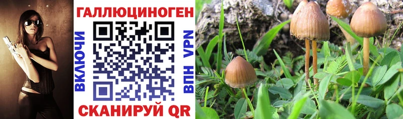 Галлюциногенные грибы GOLDEN TEACHER  продажа наркотиков  Каменск-Уральский 