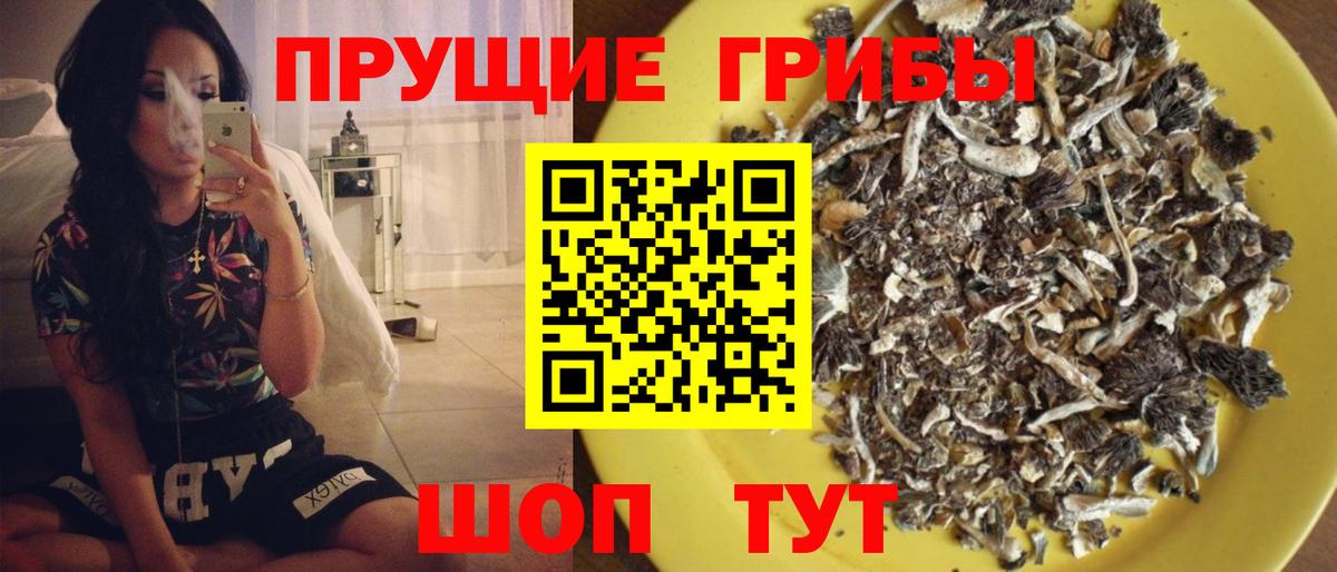 Каменск-Уральский  Галлюциногенные грибы мухоморы  Вход с VPN  Псилоцибиновые грибы мицелий 