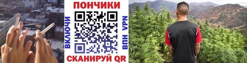 Каннабис SATIVA & INDICA  Каменск-Уральский 